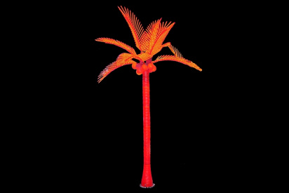 COL-03 LED Пальма кокосовая 3,0*3,0 м , красная фото 1