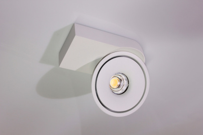 Потолочный накладной светильник ROUND-OUT-02-WH-WW (теплый белый свет, белый корпус)  фото 1