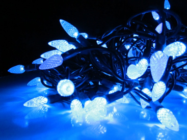 LED-PL-C6-4-G-220V-18-B, 20м, 200-205 светодиодов, синий  фото 1