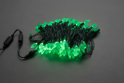 LED-XS-100-240V-G,ягода,зеленый, влагозащ. фото 1