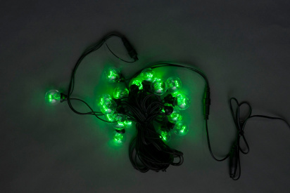 LED-2BLR-50CM-10M-240V-G, Белт-лайт с лампами, зелёный/черный пр. фото 1