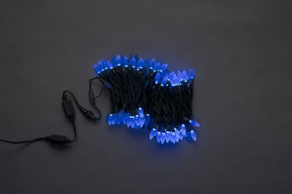 LED-XS-100-240V-B,ягода,синий, влагозащ. фото 1